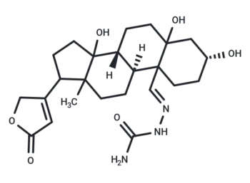 Compound N023-0004