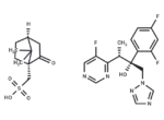 Voriconazole camphorsulfonate
