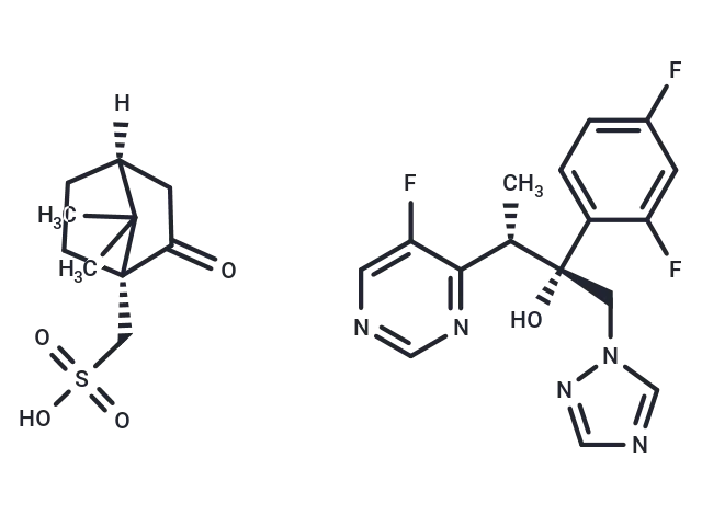 Voriconazole camphorsulfonate