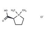 Stachydrine Hydrochloride