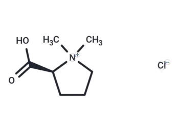 Stachydrine Hydrochloride