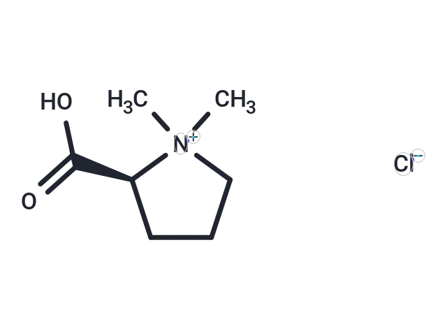 Stachydrine Hydrochloride