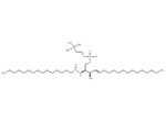13C C16 Sphingomyelin (d18:1/16:0)