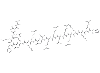 eNOS pT495 decoy peptide