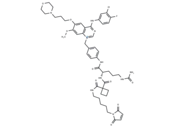 MC-Sq-Cit-PAB-Gefitinib