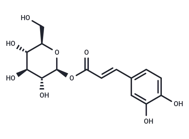 1-O-Caffeoylglucose CgoaEGY7SHGEcPtwAAAAADY5iwk187- Immunomart