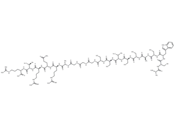 Fibulostatin 6.2