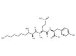 Microginin 527