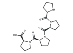 Tetraproline 1 Tetraproline