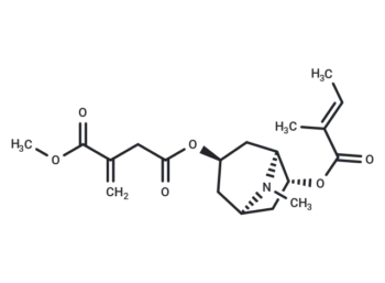 Schizanthine G