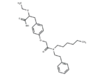 PPARα-MO-1