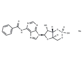 6-Bnz-cAMP sodium salt