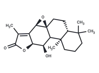 Ebracteolatanolide A