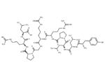 HCV Peptide (35-44)