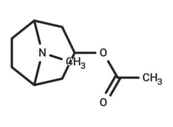 3-Acetoxytropane