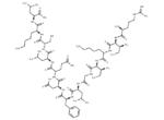 α-Pompilidotoxin