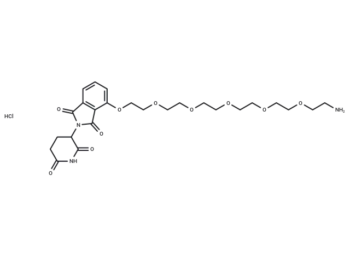 Pomalidomide-PEG6-NH2 hydrochloride