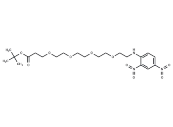 DNP-NH-PEG4-C2-Boc