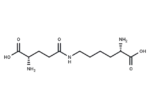 Epsilon-(gamma-glutamyl)-lysine 1 Epsilon-(gamma-glutamyl)-lysine