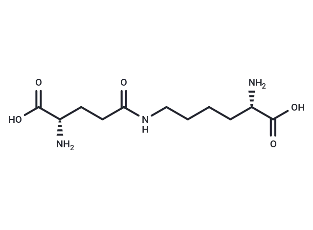 Epsilon-(gamma-glutamyl)-lysine CgoaEGY7Su2EaW6lAAAAAFH6Z8k117- Immunomart
