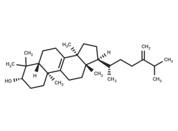 Euphorbadienol