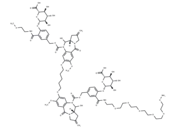β-Glucuronide-dPBD-PEG5-NH2