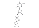 Deoxythymidine-5′-triphosphate