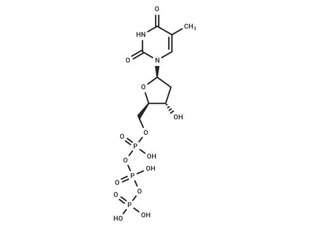 Deoxythymidine-5'-triphosphate
