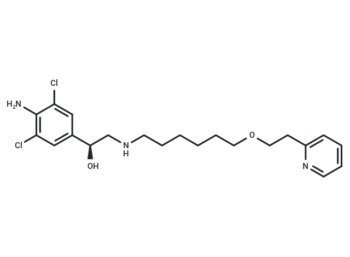 (+)-Picumeterol