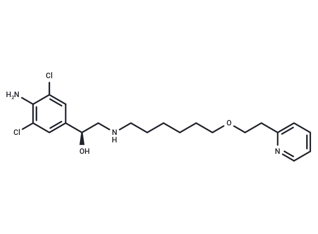 (+)-Picumeterol CgoaEGY7T KENWIDAAAAAPlt6EA147- Immunomart
