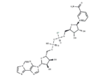Nicotinamide 1