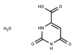 Orotic acid monohydrate