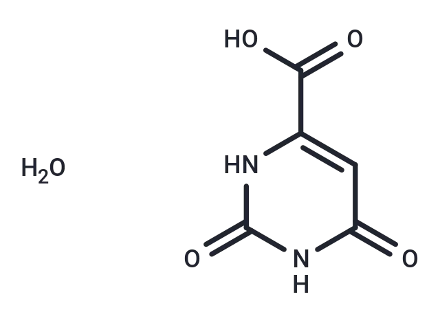 Orotic acid monohydrate