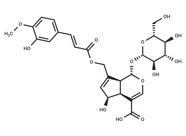 10-O-trans-p-Feruloylscandoside CgoaEGY7TDCEDDEGAAAAAOBuop8021- Immunomart