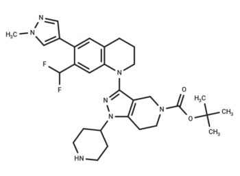 Piperidine-GNE-049-N-Boc