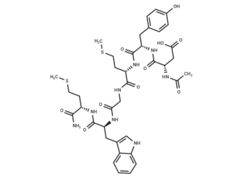 CCK (26-31) (non-sulfated)