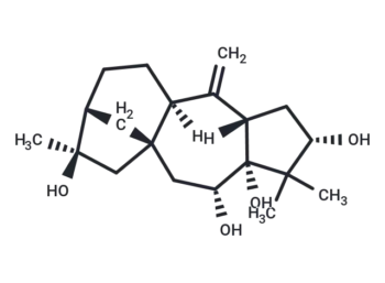 Grayanotoxin XVIII