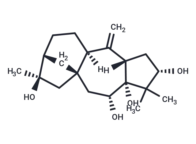 Grayanotoxin XVIII