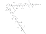 16-38-Thymosin β4 (cattle)
