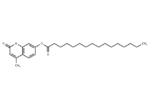 4-Methylumbelliferyl palmitate