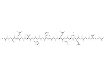 OVA peptide