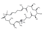 Amphidinolide D