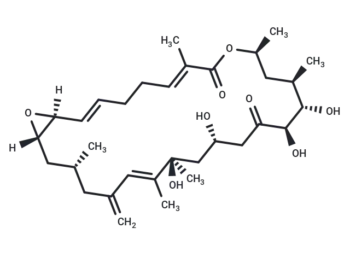 Amphidinolide D