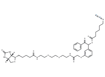UV Cleavable Biotin-PEG2-Azide
