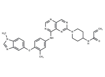 Zongertinib
