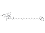 Fluorescein Biotin