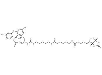 Fluorescein Biotin