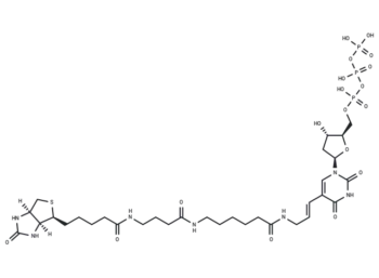 Biotin-16-dUTP
