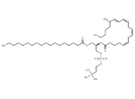 1-Stearoyl-2-15(S)-HETE-sn-glycero-3-PC