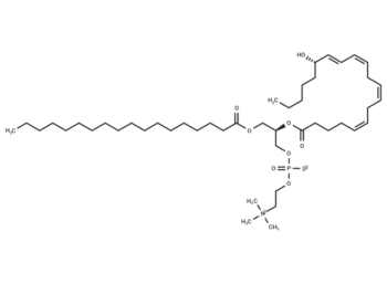 1-Stearoyl-2-15(S)-HETE-sn-glycero-3-PC
